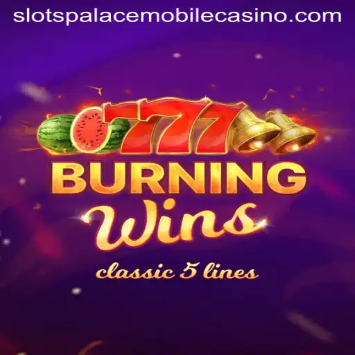 Spinning the Reels with BurningWins at Slots Palace Casino